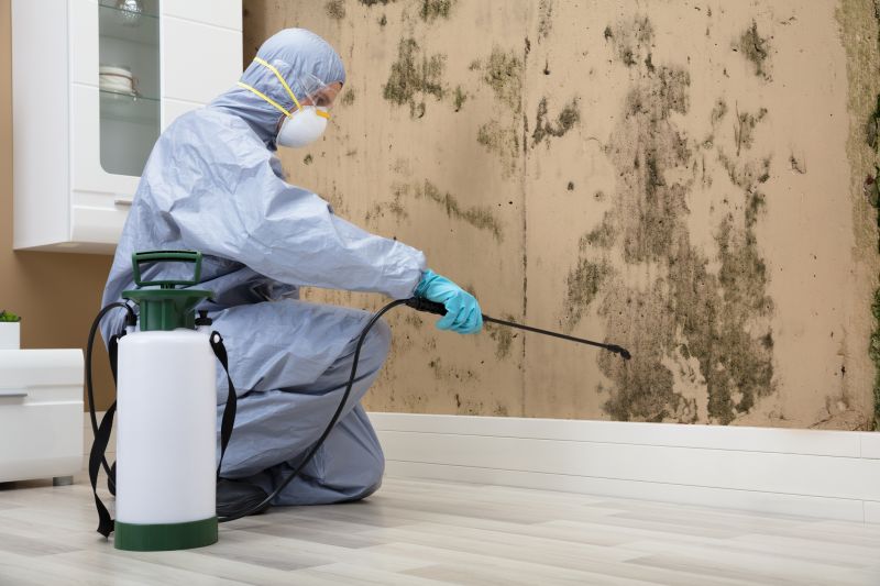 Sanitization and Mold Prevention