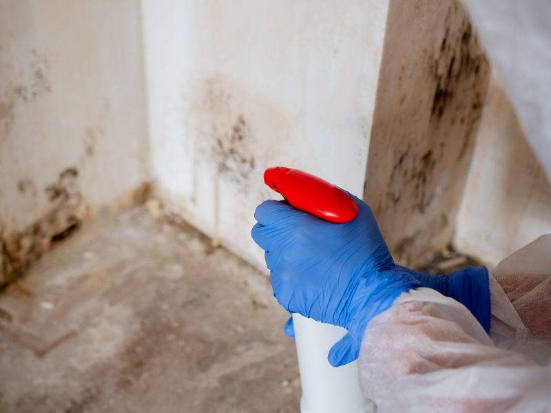 Sanitization and Mold Control