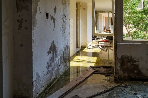 Cost of Water Removal Service in Allentown