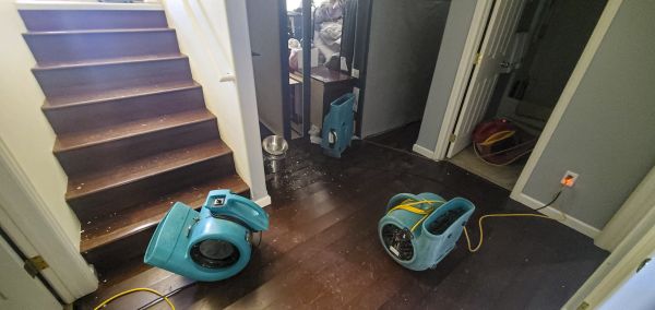 Water Damage Remediation in Allentown
