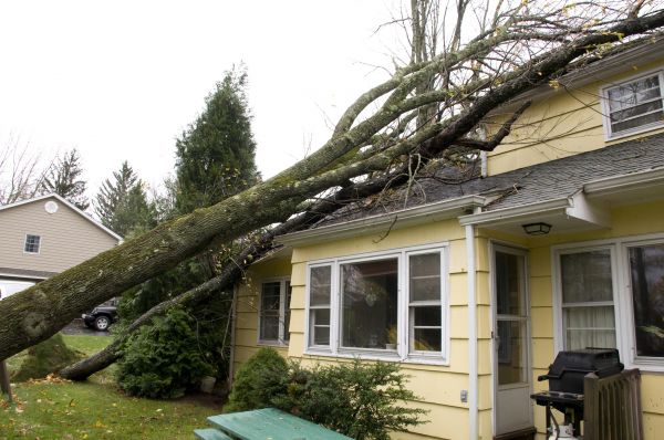 Hurricane Damage Repair in Allentown